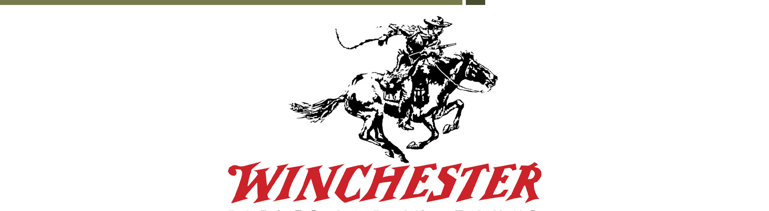 Winchester .22