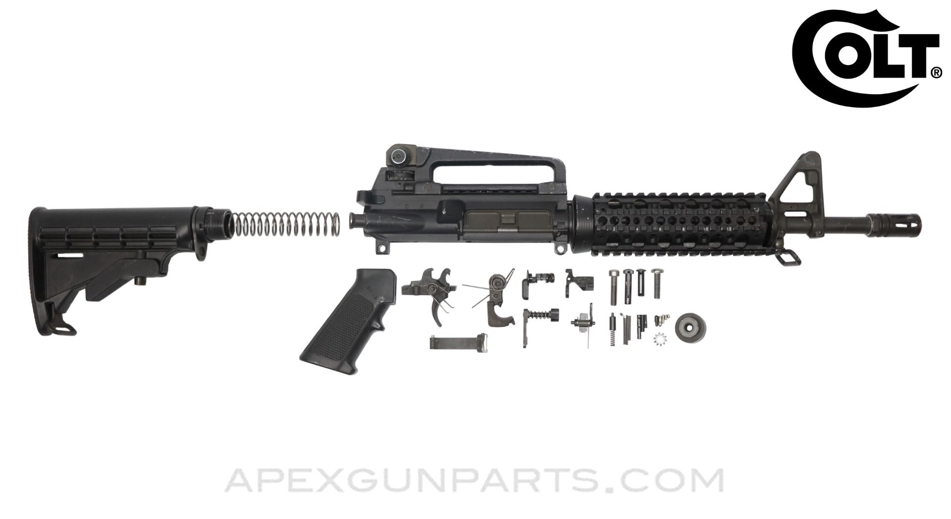 22_july_25_colt_30331.jpg