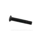 PPSh-41 Lower Receiver Screw *Very Good*